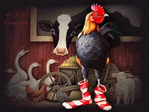 Miała baba koguta...cover