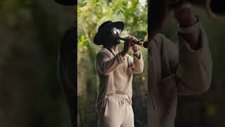 Download lagu Teddy Pendergrass ‘Turn Off The Lights’ was begging for sax #teddypendergrass #turnoffthelights #sax mp3 Download lagu Teddy Pendergrass ‘Turn Off The Lights’ was begging for sax #teddypendergrass #turnoffthelights #sax mp3