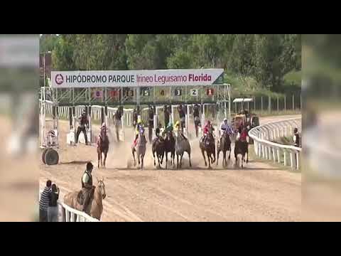 VdA Zeus (tiempo récord 365)