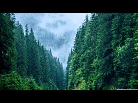 Lange Feat. Ilseviolin - Violin & Revenge (Dark Club Mix)