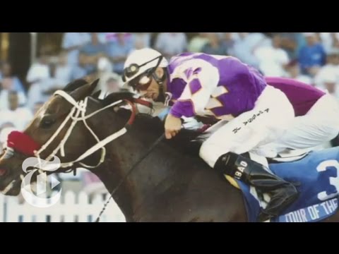 Sports: Where Do Racehorses Go? | The New York Times