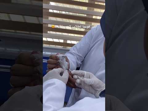 طلاب السادس هذا يلي ينتظركم بكلية الصيدلة.            #اكسبلور #سادسيون  #جامعة #طلاب #كلية_الصيدلة