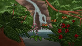 Rainforest animation