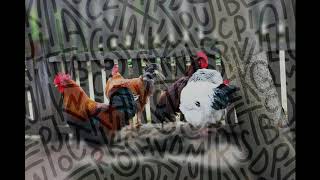 Scott H. Biram - Chickens (orig. Ray Wylie Hubbard &amp; Hayes Carll)