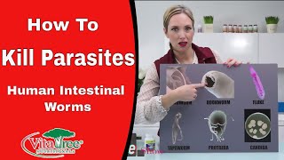 How to Kill Parasites : Human Intestinal Worms : Parasite Cleanse - VitaLife Show Episode 177