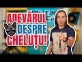 Politia Muzicii: CHELUTU feat. Dorian Popa - Inoata Chelutu Politia Muzicii: CHELUTU feat. Dorian Popa - Inoata Chelutu
