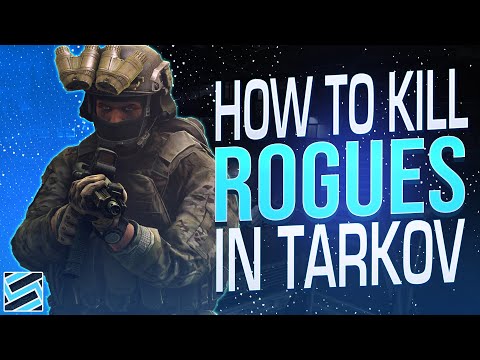 TIPS TO KILL THE NEW ROGUE SCAVS ON LIGHTHOUSE IN 12.12 - Escape from Tarkov
