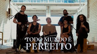 Cover art for Todo Mundo é Perfeito