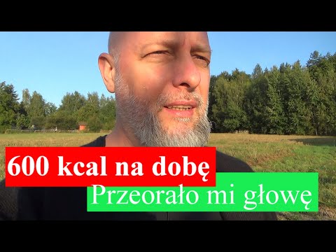 Post Dąbrowskiej, Yerba Mate i psychodeliczne przeżycia. Moja historia z Przytkowic.