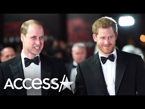 Prince Harry And Prince William Weren't 'On Good Terms' Upon Royal Exit (Report)