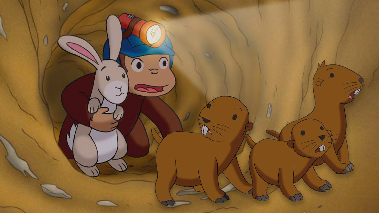 As Aventuras do George com os Gophers 🐵 George, o Curioso 🐵 Desenhos Animados