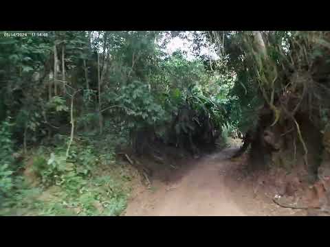 Estrada dos 7 Túneis. 2 Sumidouro RJ. #turismoruralenatureza #ruraltourism #estradasdaroça