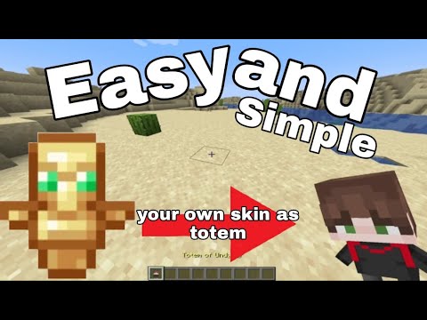 Himber - How to get your own 3d skin as Totem *all java versions*