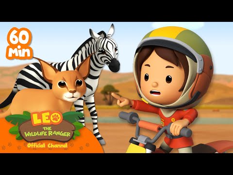 1 HOUR OF ANIMALS WITH SPECIAL FEATURES! | Leo the Wildlife Ranger | Kids Cartoons | #compilation
