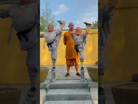 Shaolin Kung Fu #Calções