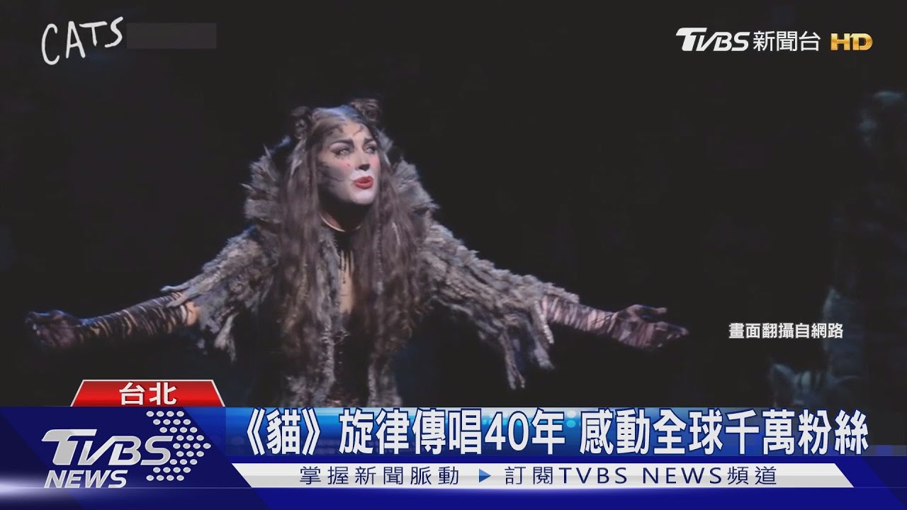 《貓》旋律傳唱40年 感動全球千萬粉絲