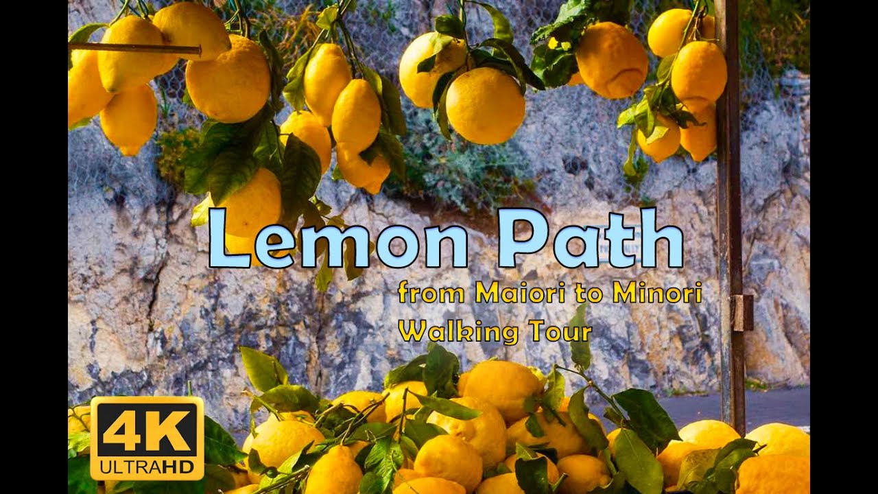 Embark on an immersive journey through the Sentiero dei Limoni with our captivating walking tour!