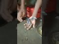 Feeding My Baby Myna Bird With Love Parrot Bird Cute Pet