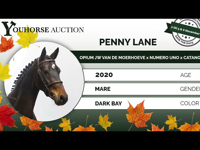 Penny Lane showvideo