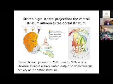 Music and The Human Brain: Creativity and Therapy Presented by Dr. Michael Trimble