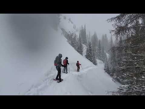 2023.03.25 Narrow Trail