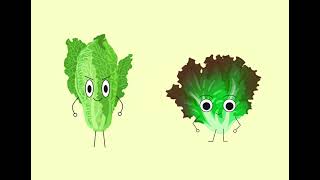 保禄六世书院 - STEM 教育（生活科学）挑战 2022