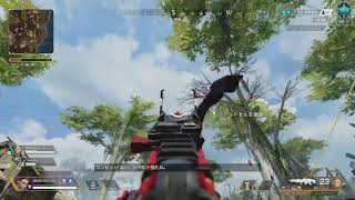 APEX　クリップ