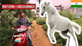 I almost had a DISASTER ☠️ Foreigner in India Vlog
