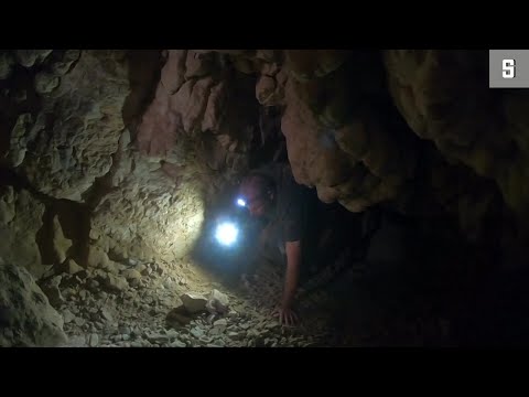 Suche nach uralten Schriftrollen: Wettlauf mit den Höhlenräubern | DER SPIEGEL