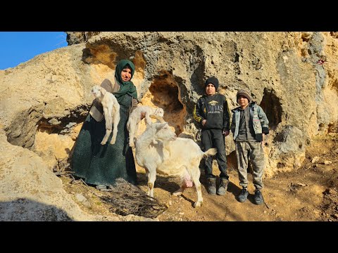 🥶 Homeless mother sought shelter in the mountains... but found something strange!