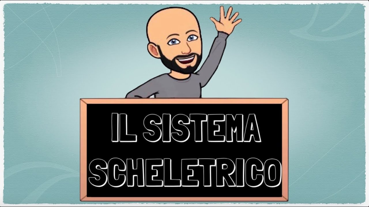Il sistema scheletrico