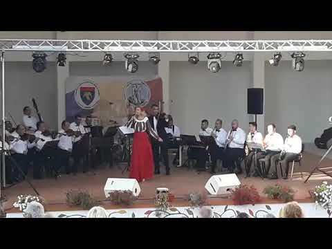 Elena Niciu & Orchestra Doina Argesului - Pitesti