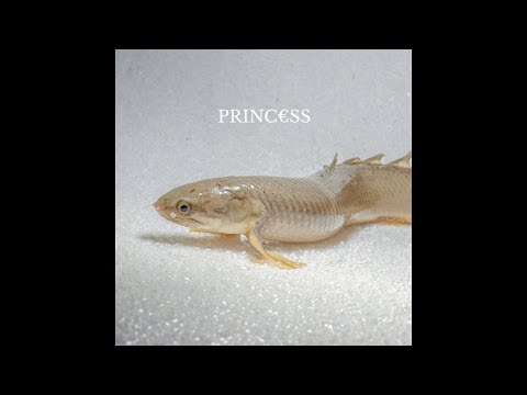 Princ​€​ss - Princ​€​ss (Full Album)