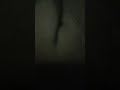 Bokep Indo