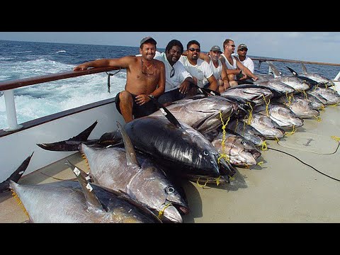 Amazing Best Fast Giant Swordfish Fishing And Bluefin Tuna skill - Handline Fishing In The Sea #02
