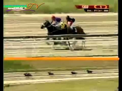 LA RINCONADA 1 CARRERA, DOMINGO 12 DE OCTUBRE DEL 2014