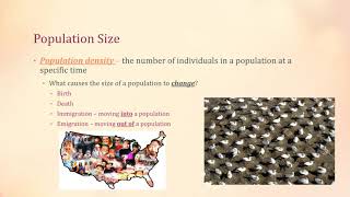 Species, Populations, Population Density