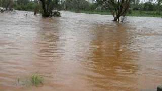 preview picture of video 'Mount Isa's West Leichhardt River in flood'