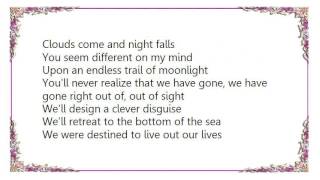 Clap Your Hands Say Yeah - Underwater You and Me Lyrics