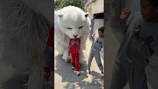 Download lagu Bocil dimakan can macanan sampe habis mp3