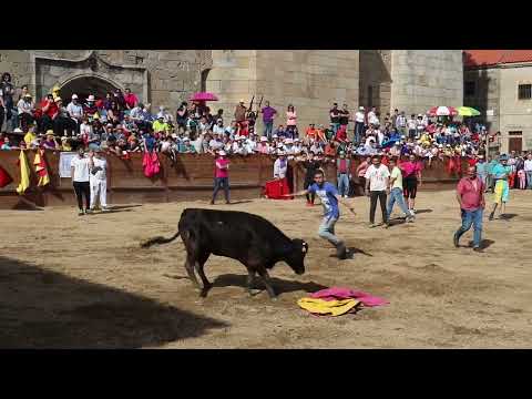 Arrancan las fiestas del Noveno en San Felices de los Gallegos