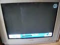 PBS KIDS GO ECHO BUMPER