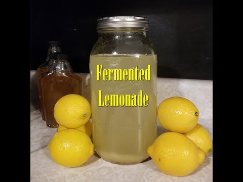 download lagu mp3 mp4 Fermented Lemonade, download lagu Fermented Lemonade gratis, unduh video klip Fermented Lemonade