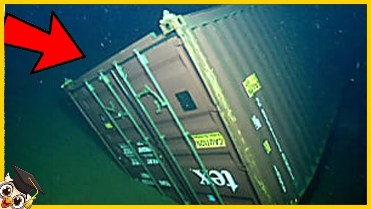 20 Coisas Mais Assustadoras Encontradas No Oceano