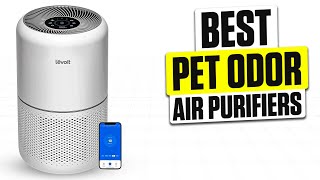 3 BEST Pet Odor Air Purifiers - Stop Odors in Their Tracks Today!