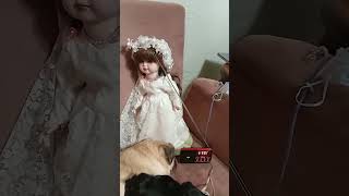 Haunted doll 101026