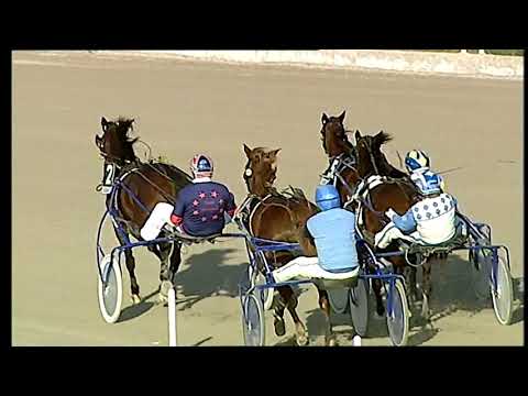 Trotto 18/12/2020 - 4ª corsa