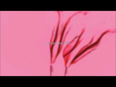 KizoKiz - Where I Belong (Audio Official)