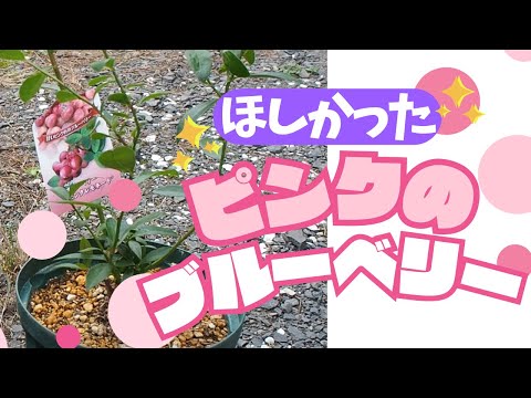 ヘクラ - 定義