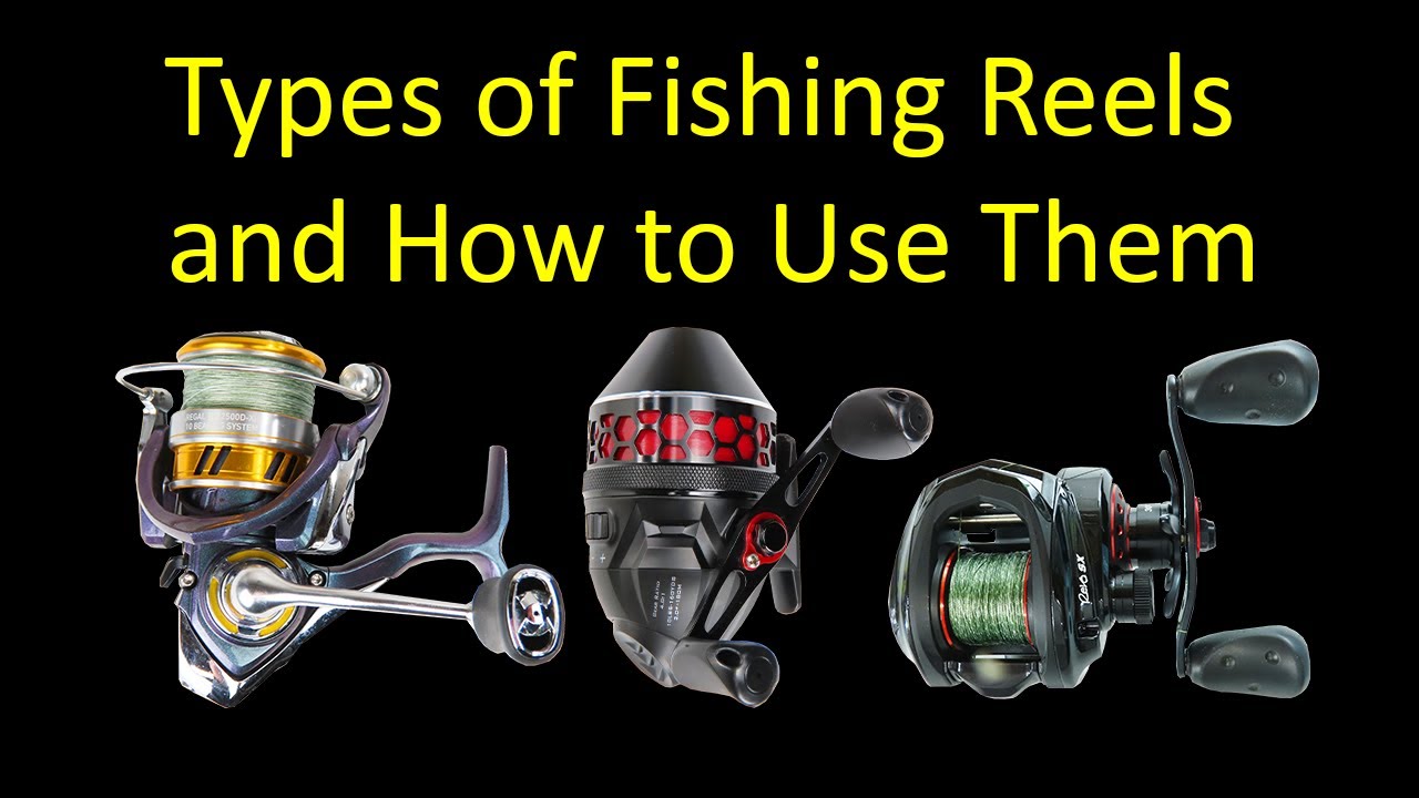 3 Types of Fishing Reels and How to Use Them for Beginners - Spinning vs. Spincast vs. Baitcasting